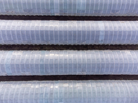 Greenhouses lined up in row, covered with transparent film aerial top down view.の写真素材
