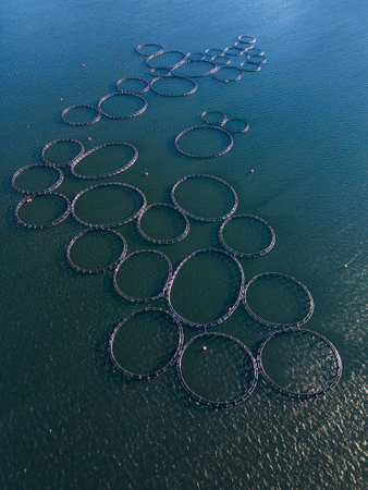 Salmon fish farm in the river aerial viewの写真素材