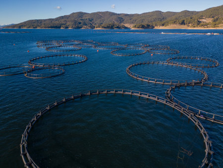 Salmon fish farm in the river aerial viewの写真素材