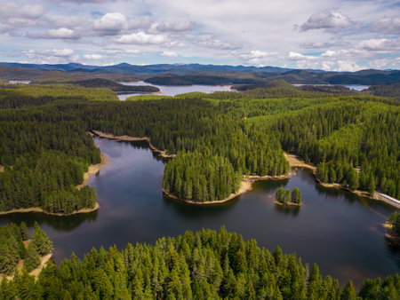 An aerial top view of the fir forest near the Big Lake in the Rhodope Mountains of Bulgariaの写真素材