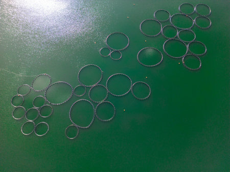 Aerial top view of round mesh fences are commonly used for trout breeding in the natural environment...