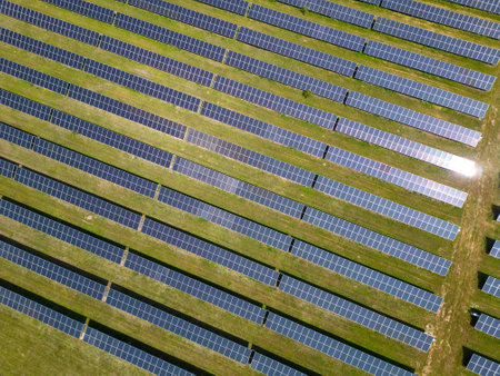 Amidst a lush meadow and forest, solar panels stand tall, harnessing the suns energy. Their gleaming surfaces reflect the vibrant sky, creating a mesmerizing sight.の写真素材