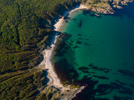 Aerial view of the rocky, wild coast of the Black Sea in Bulgaria, with cliffs, beaches, and green forestsの写真素材