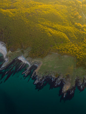 Aerial view of the rocky, wild coast of the Black Sea in Bulgaria, with cliffs, beaches, and green forestsの写真素材