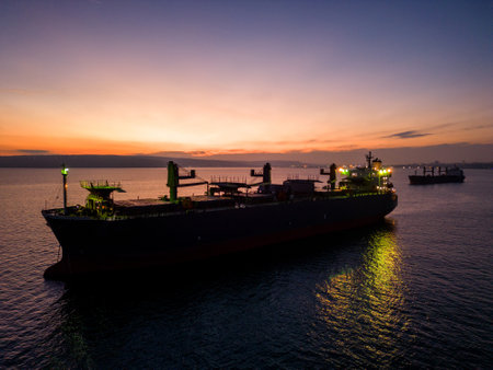 A massive cargo ship wood chips carrier in the sea, aerial view.の写真素材