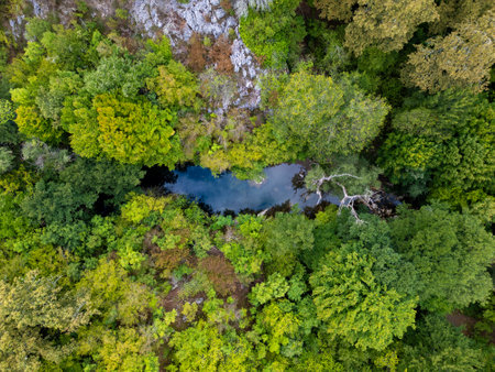 A mesmerizing aerial drone view flying above a dense green forest with rocky cliffs and a hidden river in Strandzha National Park, Bulgaria, capturing the untouched beauty of natureの写真素材