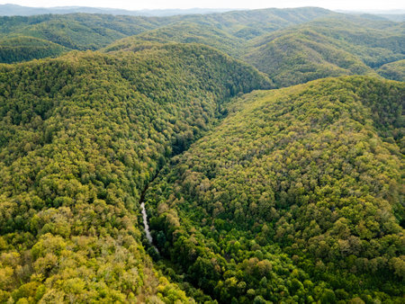 A mesmerizing aerial drone view flying above a dense green forest with rocky cliffs and a hidden river Veleka in Strandzha National Park, Bulgaria, capturing the untouched beauty of natureの写真素材