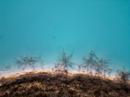 A striking contrast between turquoise water and dark, rugged terrain at a tailings lake. The industrial site reveals layers of environmental impact, blending sharp textures with vivid colorsの写真素材