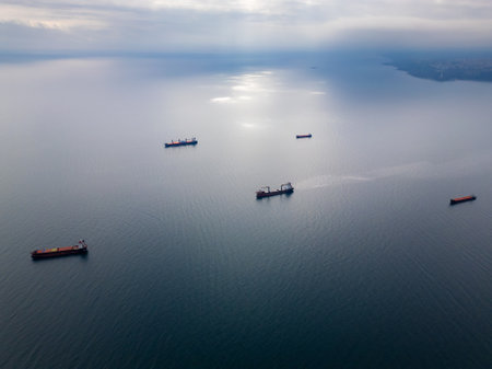 An aerial perspective of cargo ships floating on the open sea, representing global trade and maritime transport. The calm water and scattered vessels create a serene yet dynamic view of the shipping industryの写真素材