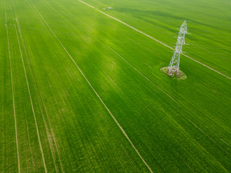 Aerial view of a vibrant green agricultural field with young crops, showing parallel lines and rich texture of cultivated land in springの写真素材