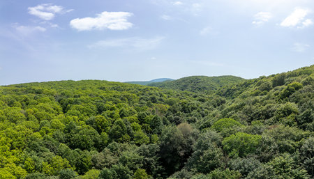 Dense green forest in Strandzha Nature Park, Bulgaria. Aerial view of untouched woodland with rich summer foliage under clear sky. Natural reserve and eco-tourism destinationの写真素材