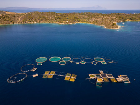 Aerial view of a fish farm with circular and square cages floating in the sea near a coastal area, surrounded by blue water and forested hills in the backgroundの写真素材
