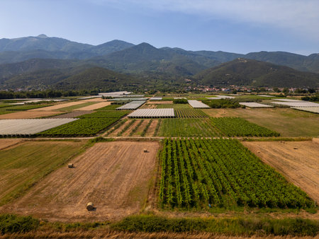 Aerial view of agricultural farmland with colorful rectangular fields and greenhouses, located near mountains and a village, forming a geometric rural landscapeの写真素材