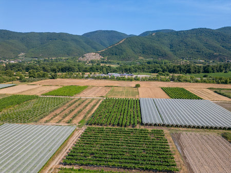 Aerial view of agricultural farmland with colorful rectangular fields and greenhouses, located near mountains and a village, forming a geometric rural landscapeの写真素材