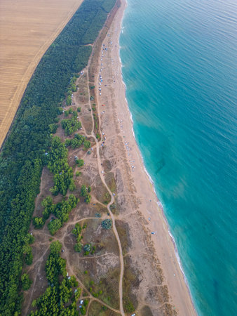 Aerial view of wild beach Krapets camping area by the sea in Bulgaria, with tents, campers, and forest trails. Untouched nature, summer adventure, and off-grid coastal lifestyle from aboveの写真素材