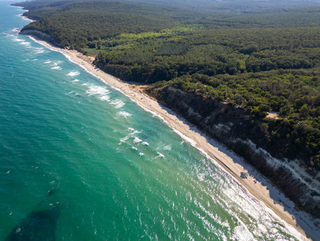 Aerial footage of a scenic sandy beach with waves gently hitting the shore, people relaxing under umbrellas, and cliffs in the background. Peaceful summer vibe captured by droneの写真素材