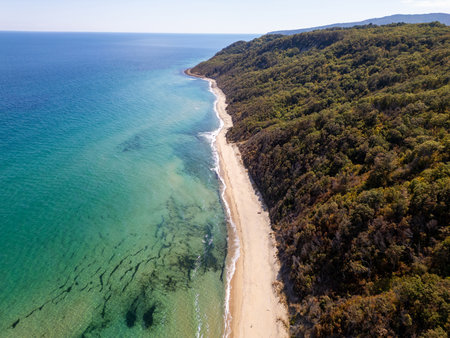 Aerial view of wild Bulgarian coastline with turquoise sea and green forested cliffs, scenic untouched nature and beautiful seascapeの写真素材