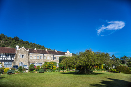 The Hill clubのeditorial素材