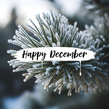 Christmas greeting card. Fir branch covered with hoarfrost. Merry Christmas and Happy New Year!の素材