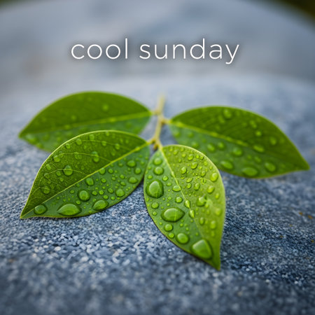 Green leaf with water drops on grey stone background with text - cool Sundayの素材