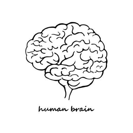 Hand drawn human brain with inscription. side view. Black outline isolated on white background. vector illustrationのイラスト素材