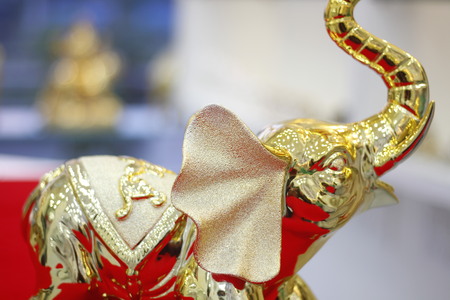 gajraj astrologyの写真素材