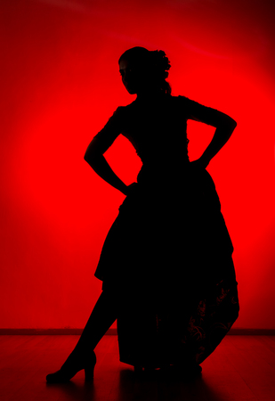 silhouette of spanish girl flamenco dancer on a red backgroundの写真素材