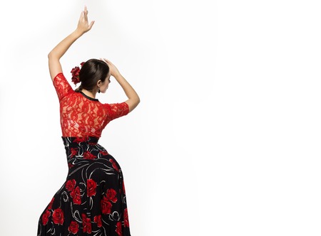 spanish girl flamenco dancer on a light background. free space for your textの写真素材