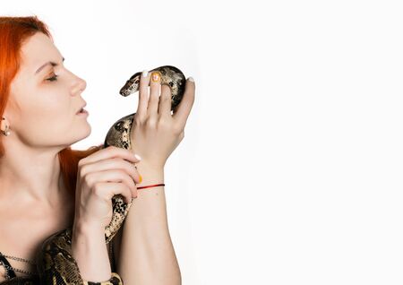 sexy redhead woman holding snake. close-up photo girl with pygmy python on a white backgroundの写真素材