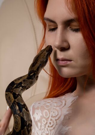 sexy redhead woman holding snake. close-up photo girl with pygmy python on a white backgroundの写真素材