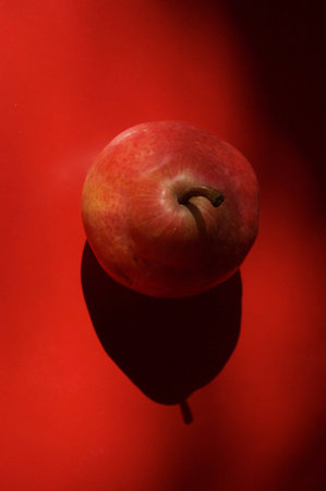 Red pear (2nd)