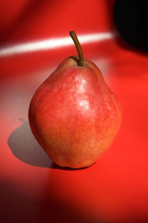 Red pear (3rd)の写真素材