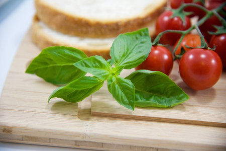 Mediterranean diet (30th)の写真素材