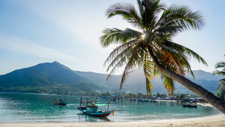 vacation, beach, summer and leisure concept coconut trees with hammock on the beach sunset view. Tropical resort with sunset near beach.の写真素材