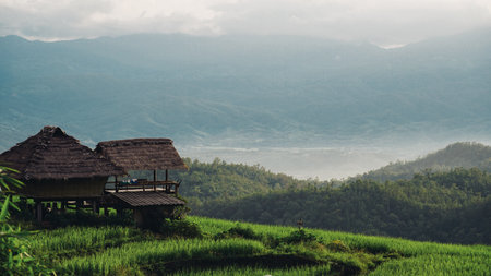a remote mountain village at dawn, with misty valleys, cozy cottages, and the silent beauty of daybreak in Thailand. A small hut in the middle of the mountain with a stunning backdrop. Wooden huts in the middle of the forest and misty mountains in winter season.の写真素材
