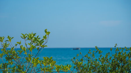 Palm tree beach defocused. Abstract seascape with palm tree, tropical beach background. blur bokeh light of calm sea and sky. Scenic view of palm trees and sea on background of spectacular sunlight.の写真素材