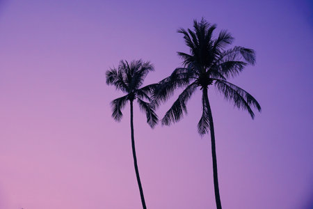 Silhouette coconut palm trees on beach at sunset. Vintage tone. Beautiful coconut palm tree with sky at sunset or sunrise time. The sun setting behind a group of Palm Trees.の写真素材