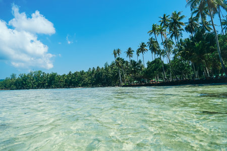 Nature tropical beach sea. Beautiful beach blue sea water at Koh Kood, Thailand. Turquoise Blue beach with white soft sand and lush green trees. Tropical beach with blue sky and white clouds. Summer vacation and holiday business travel concept.の写真素材