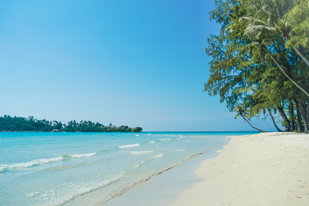 Nature tropical beach sea. Beautiful beach blue sea water at Koh Kood, Thailand. Turquoise Blue beach with white soft sand and lush green trees. Tropical beach with blue sky and white clouds. Summer vacation and holiday business travel concept.の写真素材
