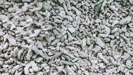 Dead coral fragments lying on a beach, Beach texture, Rocky beach. Texture of pebble stones red and...