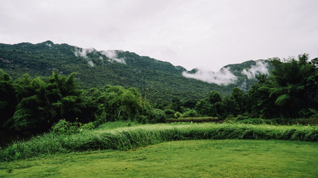 Beautiful sunshine over the mountain range at the west of Thailand. Rainforest morning fog. Landscape mountain view forest.の写真素材