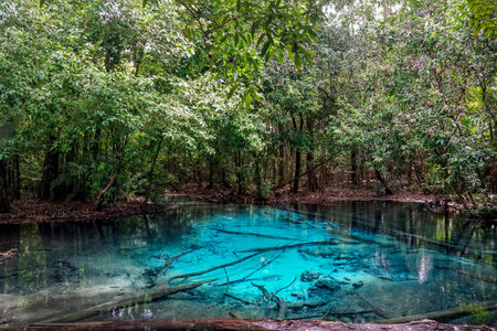 Beautiful crystal clear Emerald Pool, or Sa Morakot, famous natural swimming place and tourist destination in the Krabi, Thailand.の写真素材
