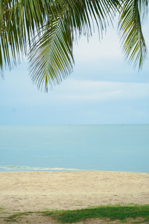 Palm leaves create a scenic tropical backdrop with a clear blue sky providing ample copy space image. Beautiful tropical beach banner. Summer sea horizon, idyllic island nature scene.の写真素材