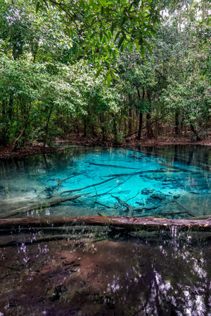 Beautiful crystal clear Emerald Pool, or Sa Morakot, famous natural swimming place and tourist destination in the Krabi, Thailand.の写真素材