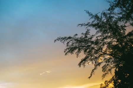 Sunset at the beach. Palm trees sunset background. Waves, sky with hues of orange, pink, and purple sun. Amazing island palms beach background. The sun resort vacation. Thailand nature sunset landscapeの写真素材