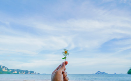 White daisy flower in hand, on blue lake or sea water outdoor background. New life, still life concept with copy space. A Freshy Flower In The Skyの写真素材