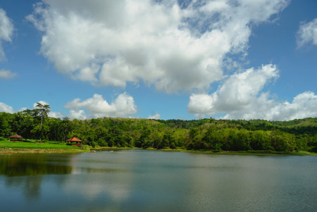 Tranquil summer landscape of a pristine lake with lake field, clear blue skies and fluffy white clouds. Beautiful lake in place for camping at Jedkod Pongkonsao, Saraburi, Thailand. Nature with forest river and pasture.の写真素材