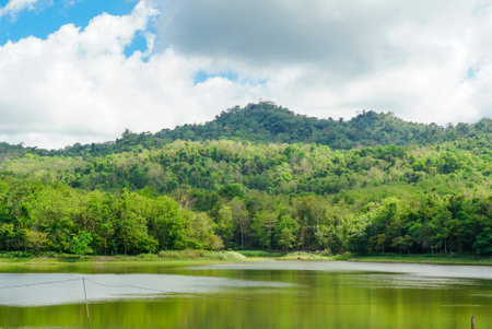 Tranquil summer landscape of a pristine lake with lake field, clear blue skies and fluffy white clouds. Beautiful lake in place for camping at Jedkod Pongkonsao, Saraburi, Thailand. Nature with forest river and pasture.の写真素材