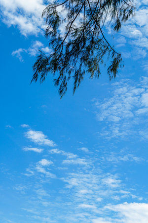 Tropical beach serenity view of blue sky and palm trees from below, summer travel background. Blue...