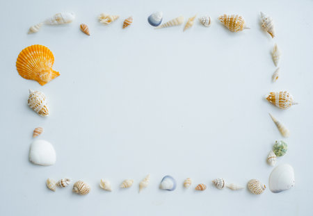 Shells arranged in rectangle, Assorted seashells frame on pale white background. Marine border design with copy space for summer concepts. Seashells in shape of picture frame. Top view photoの写真素材